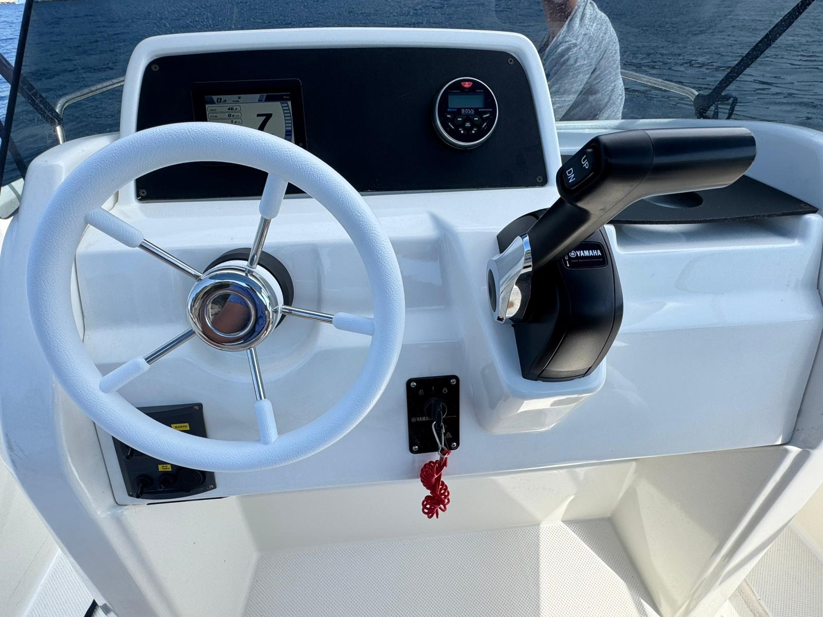 Quicksilver 100hp - Cockpit View