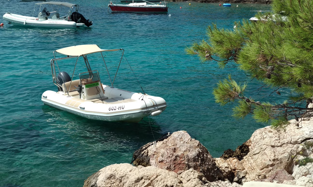 Zodiac Medline 60hp - Island View