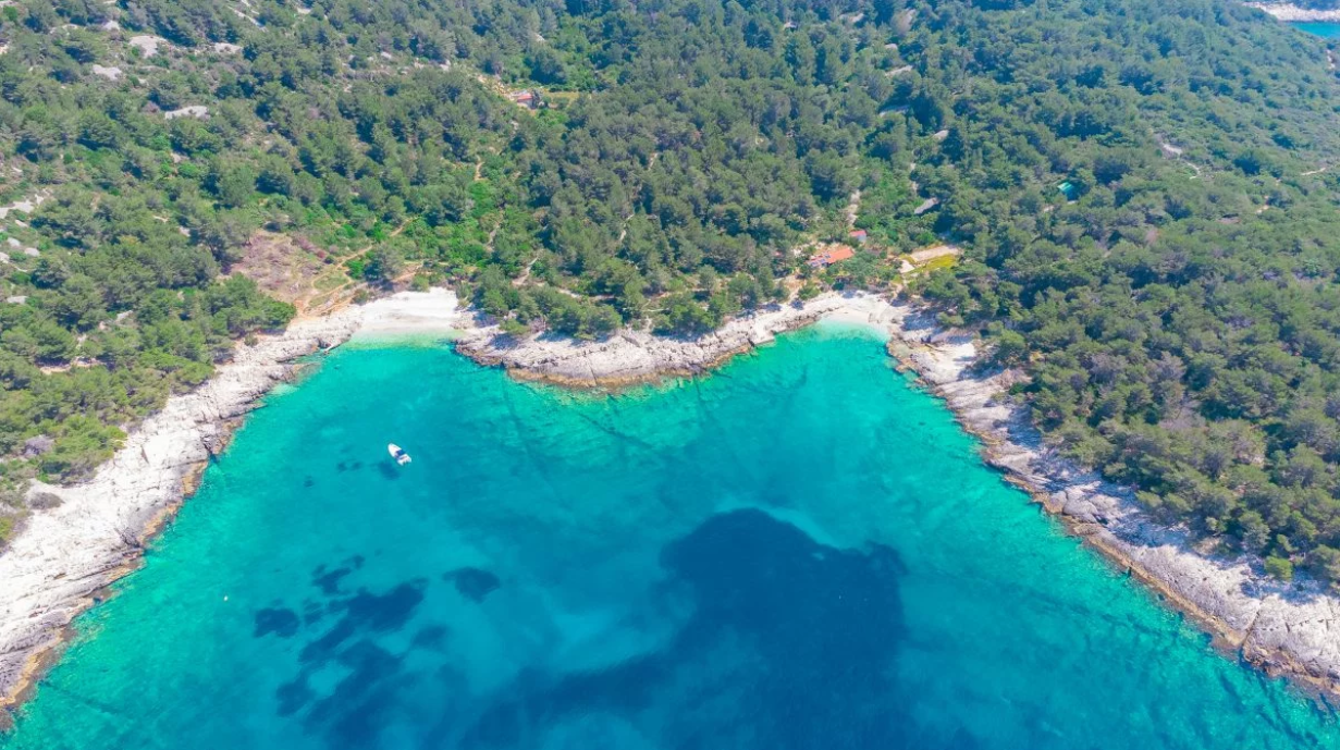 Mekićevica